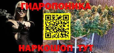 каннабис Кандалакша