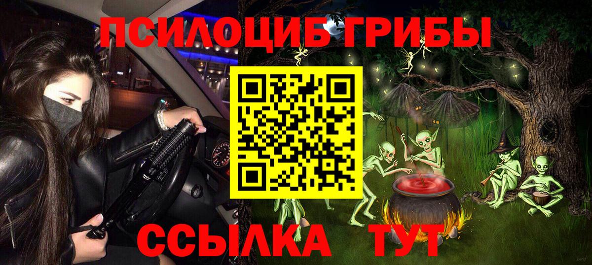 Галлюциногенные грибы MAGIC MUSHROOMS  Псилоцибиновые грибы GOLDEN TEACHER  Вход с VPN  где найти наркотики  Волхов 