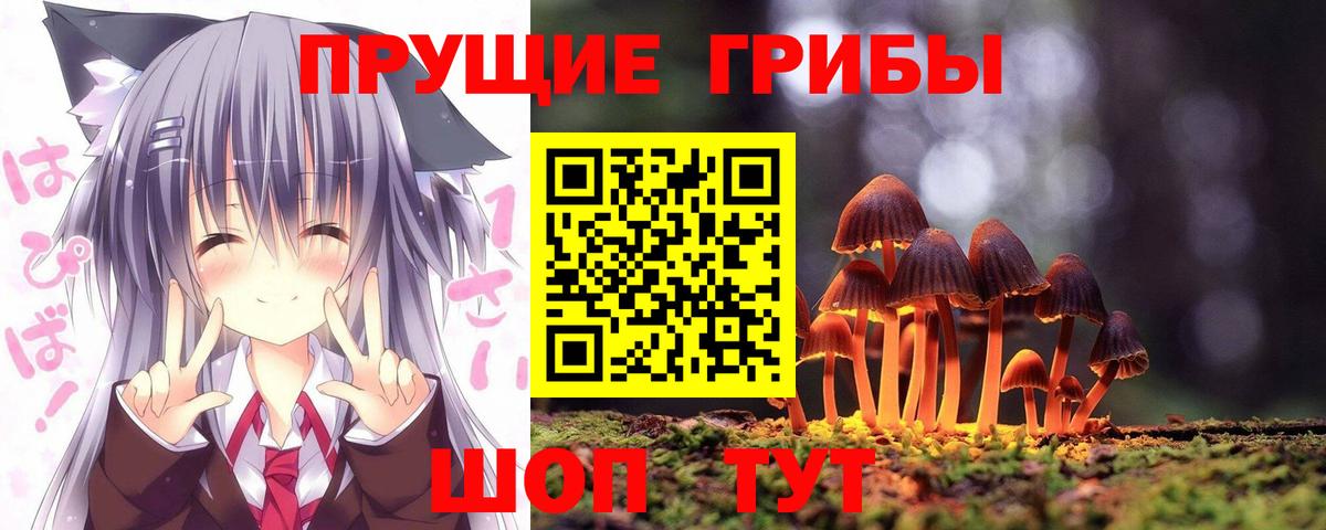 Галлюциногенные грибы прущие грибы Волхов